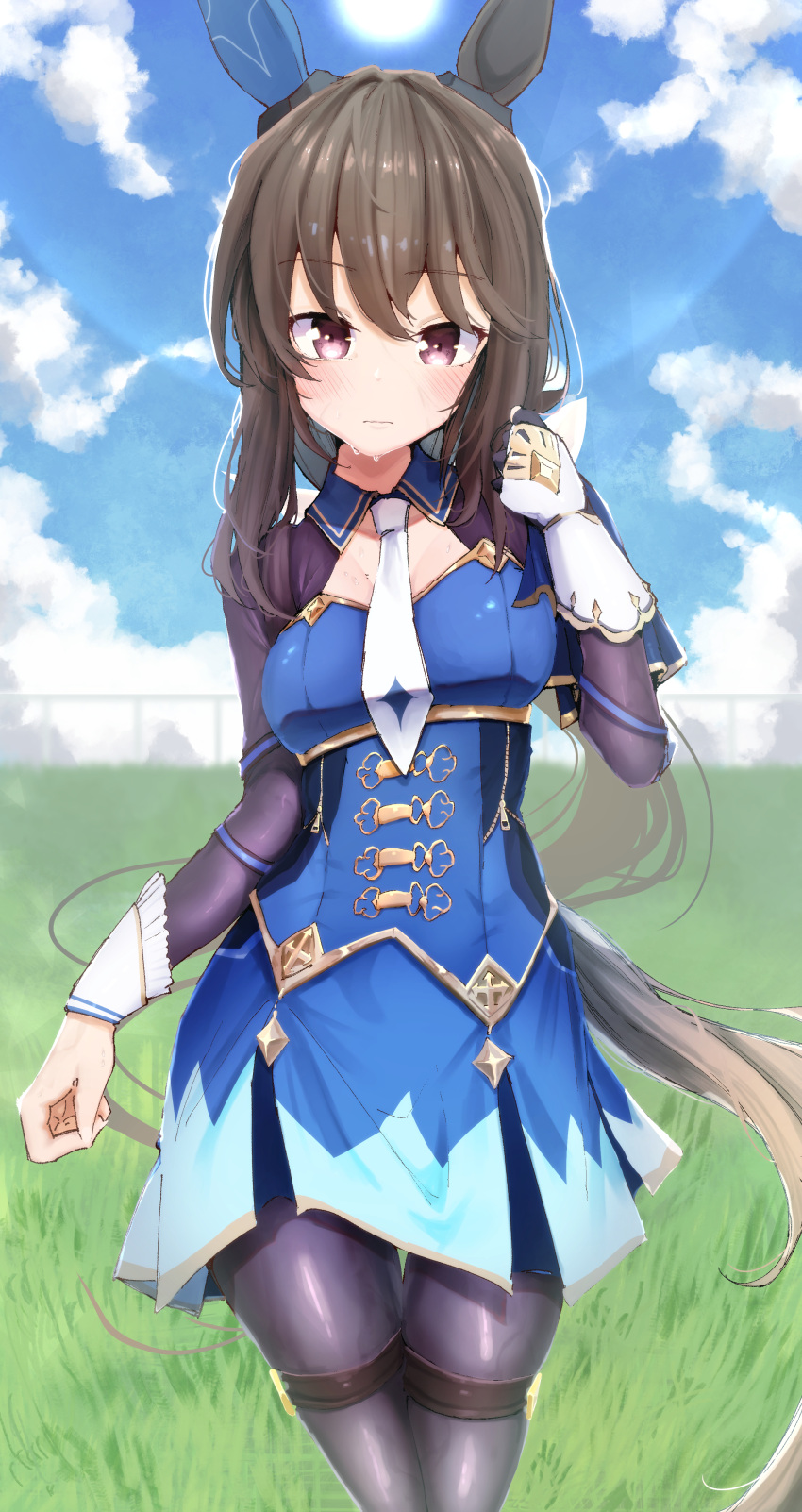 1girl absurdres admire_vega_(umamusume) animal_ears black_gloves blue_corset blue_dress blue_sky blush bow breasts brown_eyes brown_hair closed_mouth cloud cloudy_sky commentary_request corset cowboy_shot dress from_side gloves gorioshi0802 grass highres horse_ears horse_girl horse_tail large_breasts lens_flare long_sleeves low_ponytail outdoors short_sleeves sky solo sun sweat tail thigh_strap umamusume white_bow