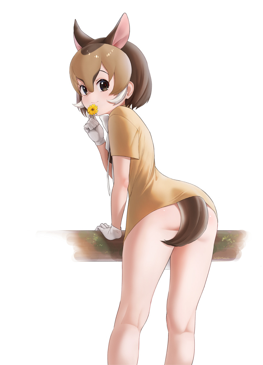 1girl animal_ears ass barefoot beleven brown_eyes brown_hair brown_shirt chevrotain_(kemono_friends) closed_mouth english_commentary flower gloves highres kemono_friends kneepits looking_at_viewer looking_back medium_hair mixed-language_commentary shirt short_sleeves simple_background smile solo standing tail thighs white_background white_gloves yellow_flower