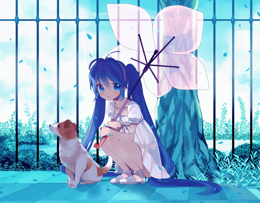 amazawa_koma blue_eyes blue_hair dog dress hatsune_miku long_hair petals summer_dress umbrella vocaloid