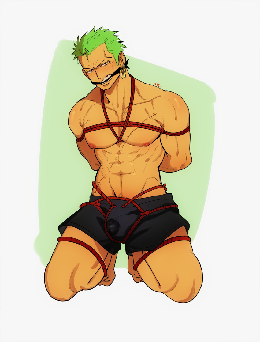 1boy abs arms_behind_back bara bluefriedchick blush crotch_bondage full_body gagged green_hair highres kneeling looking_at_viewer male_focus navel nipples one_piece pectorals pubic_stubble red_rope rope roronoa_zoro scar scar_across_eye shibari short_hair solo toned toned_male v-taper