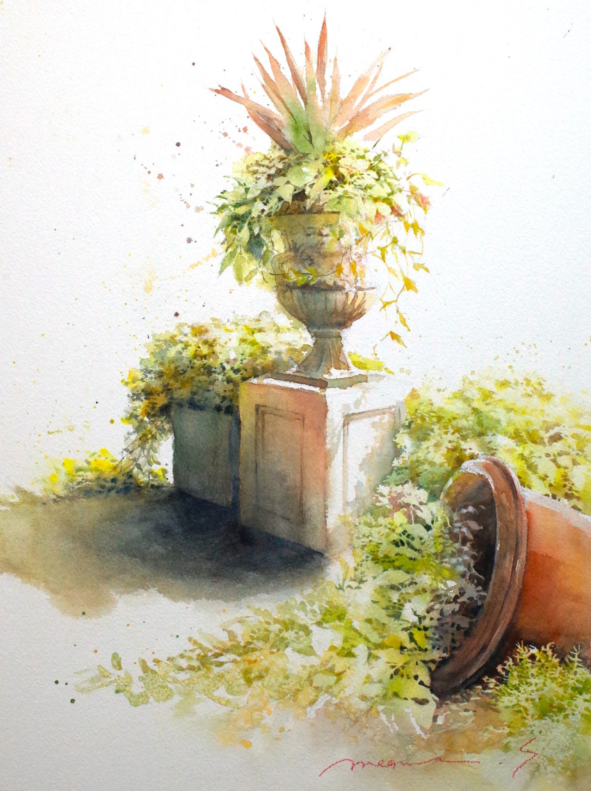 fern highres no_humans original painting_(medium) plant plant_focus potted_plant shadow shimizu_megumi_(m_acquerello) still_life sunlight traditional_media vines watercolor_(medium) white_background