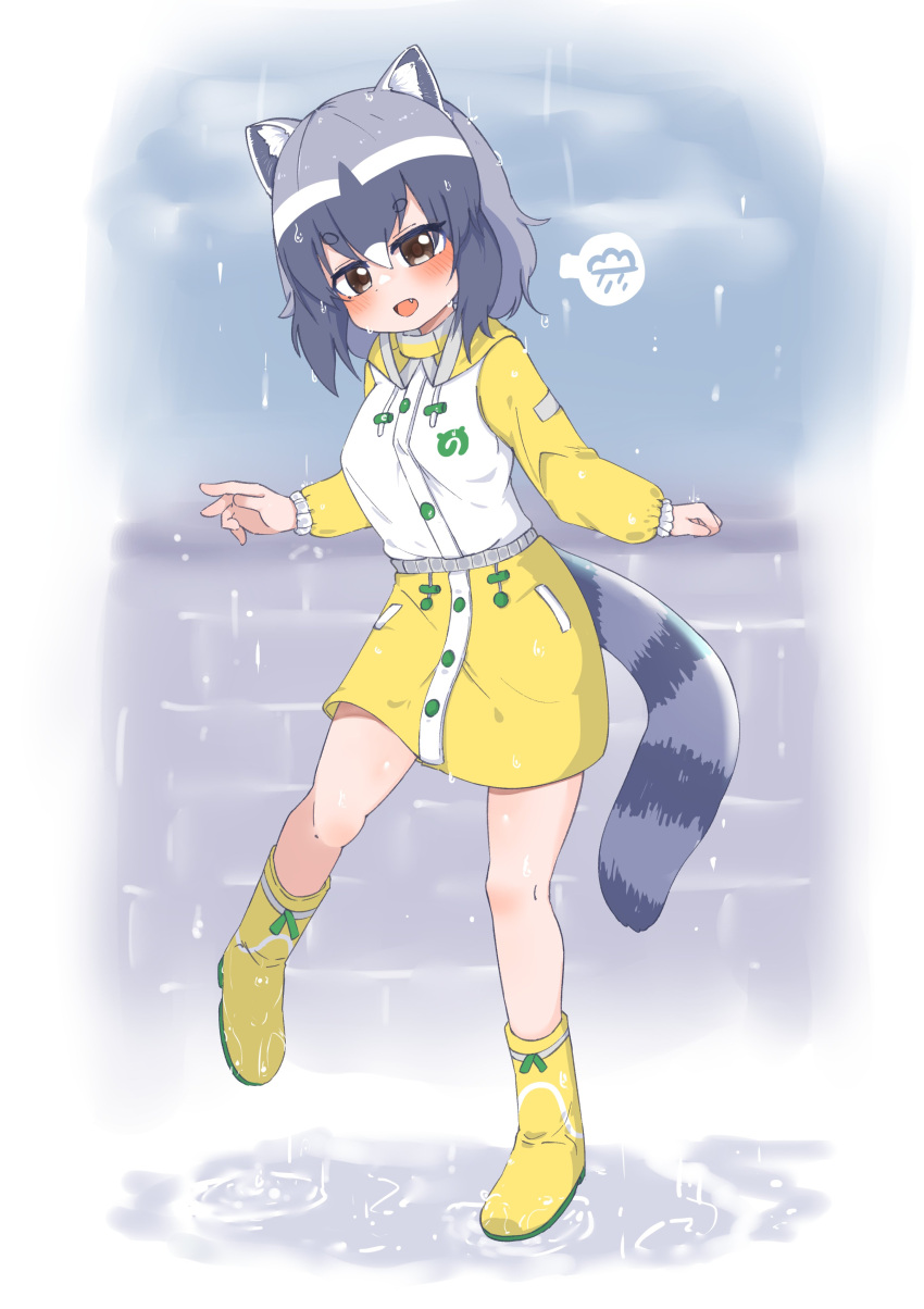1girl absurdres animal_ears black_hair blush boots brown_eyes chai_chai_huishi coat common_raccoon_(kemono_friends) full_body grey_hair highres kemono_friends kemono_friends_3 long_sleeves looking_at_viewer multicolored_hair open_mouth outdoors raccoon_ears raccoon_girl raccoon_tail rain raincoat rubber_boots short_hair skirt smile solo tail white_hair yellow_coat yellow_footwear yellow_raincoat