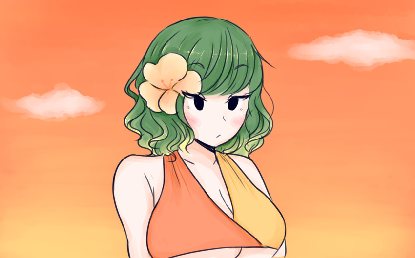 bikini black_eyes blush breasts cloud flower gradient_sky green_hair hair_flower hair_ornament kazami_yuuka large_breasts maditsu orange_sky orange_swimsuit outdoors short_hair sky solo sunset swimsuit touhou unamused underboob upper_body