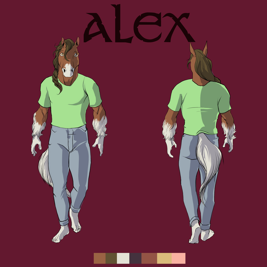 alex_(thorsoneyja) brown_eyes brown_fur brown_hair clothing clydesdale color_scheme dbruin draft_horse equine feathering fur hair horse jeans looking_at_viewer male mammal model_sheet pose shirt solo text toned white_fur