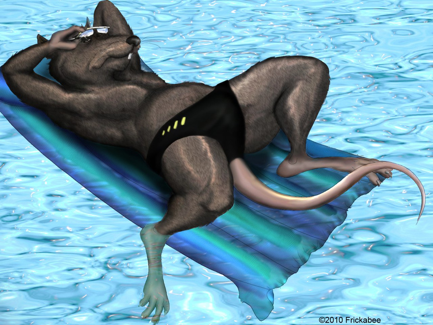 2010 anthro bulge clothing edit eyewear floater frickabee glasses looking_at_viewer male mammal rat rodent solo splinter swimming_pool swimsuit tagme teenage_mutant_ninja_turtles water