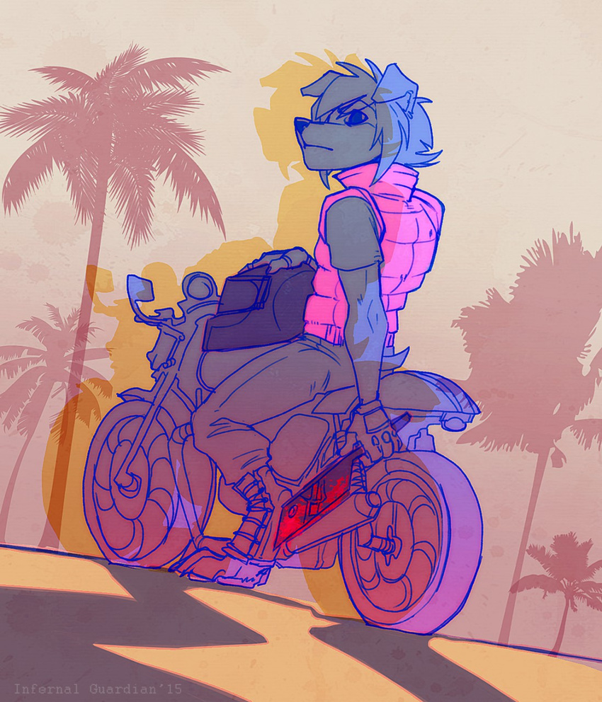 alimika anthro armor bike biker biker_(hotline_miami) blood bracers canine cleaver clothing digitigrade dog gb500 hair helmet honda hotline_miami male mammal melee_weapon motorcycle palm_tree shadow short_tail simple_background solo tree vest video_games weapon