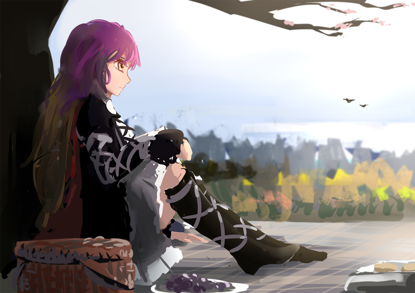 basket bird brown_hair cherry_blossoms cross-laced_clothes cross-laced_footwear dress food fruit gradient_hair grapes hands_on_own_knees hijiri_byakuren layered_dress leaning_back long_hair multicolored_hair oil_painting_(medium) purple_hair sitting sketch solo touhou ttc yellow_eyes