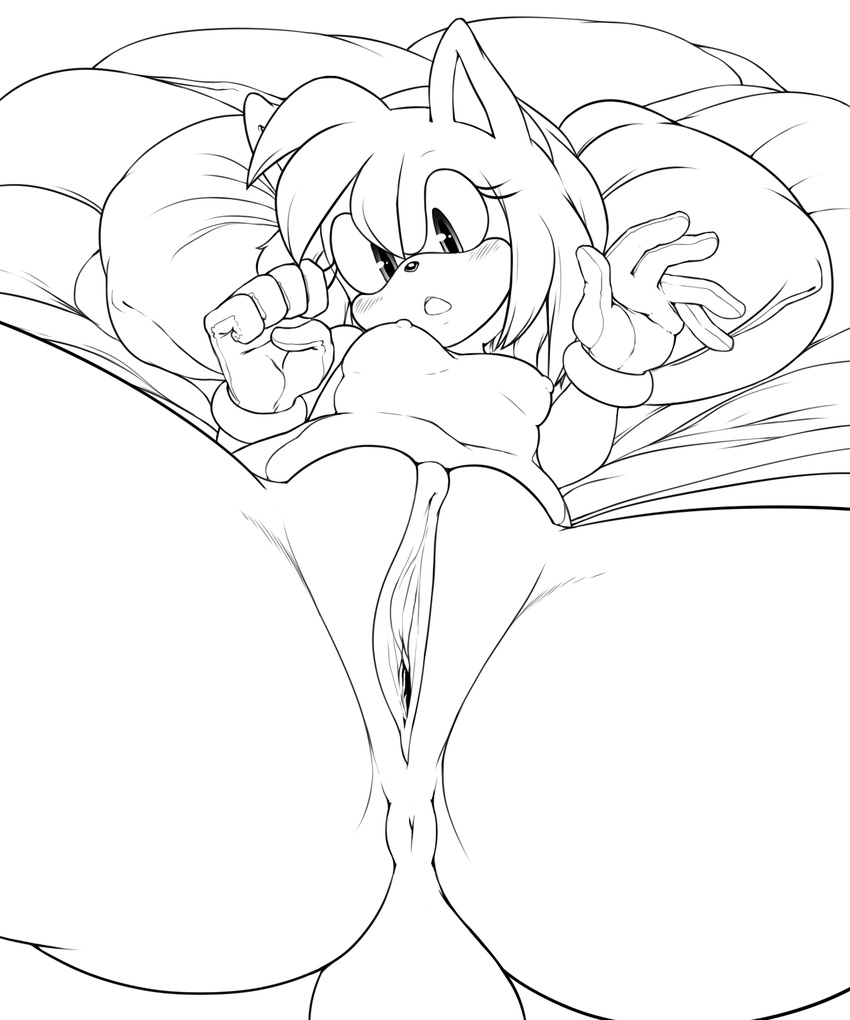 2015 amy_rose anthro anus areola argento black_nose blush breasts butt chubby clothing collaboration female gloves hair hedgehog lying mammal monochrome nipples nude on_back pussy short_hair soina solo sonic_(series) spread_legs spreading thick_thighs