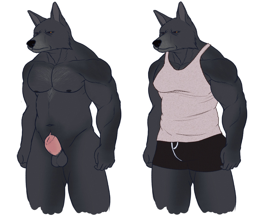 balls boxer_briefs briefs canine clothed clothing cock_sheath frown grumpy male mammal muscular necrosquelch old_man sheath shirt simple_background solo tank_top tim underwear wolf yellow_eyes