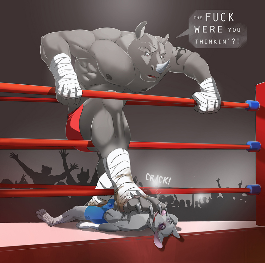 anthro arcticlion crush defeated duo fight fighting_ring male mammal mouse muscular peril rhinoceros rodent ryancarthage size_difference sound_effects wounded xalex14