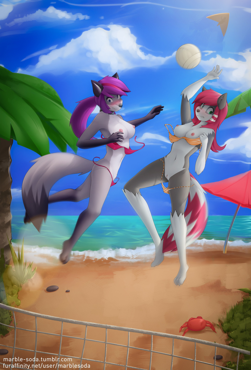 anthro beach blue_eyes blush canine casual_nudity clothed clothing derpah digitigrade duo ear_piercing female female/female game_(disambiguation) green_eyes hair half-closed_eyes hybrid mammal nipples nude paws piercing pink_hair pink_panties ponytail pussy raccoon rikki seaside skimpy stripped_panties tasteful_nudity volleyball wolf