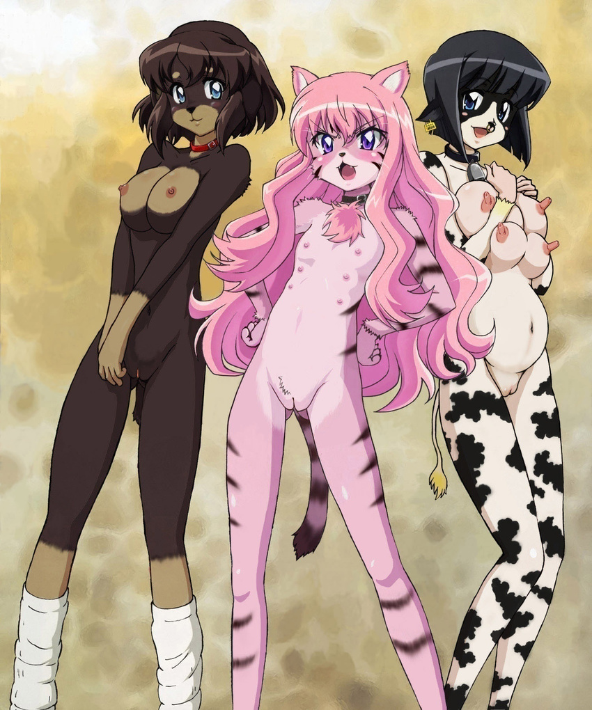 :d angry animal_ears animal_print ass_visible_through_thighs bangs bell bell_collar black_hair blue_eyes blush blush_stickers breast_hold breast_squeeze breasts buckle cat_ears cat_nose cat_tail collar cow_bell cow_ears cow_girl cow_print cow_tail dog_collar dog_ears dog_tail ear_piercing ear_tag extra_breasts extra_nipples facial_mark fangs flat_chest forehead_mark fujii_masahiro fur furry hands_on_hips hands_together henrietta_de_tristain highres huge_nipples kneehighs large_breasts legs_apart light_smile long_hair looking_at_viewer loose_socks louise_francoise_le_blanc_de_la_valliere multiple_girls navel nipples nose_piercing nose_ring nude open_mouth piercing pink_hair pregnant purple_eyes pussy short_eyebrows short_hair sidelocks siesta smile socks standing tail third-party_edit tiger_stripes transformation uncensored v_arms very_long_hair white_legwear yellow_background zero_no_tsukaima