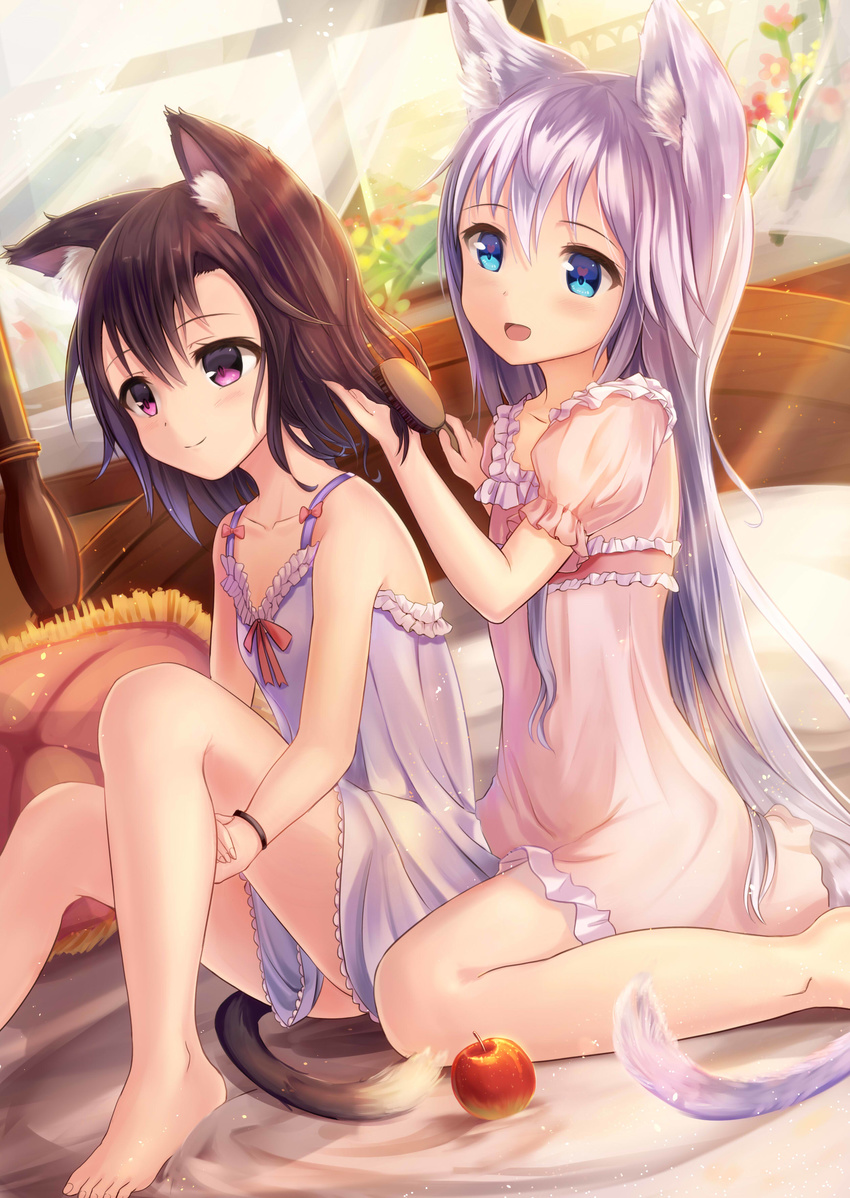 :d absurdres animal_ears apple babydoll bangs barefoot bed blue_eyes blush brown_hair cat_ears cat_tail chemise curtains dutch_angle flower food frills fruit hair_brush hair_brushing hand_in_hair hands_together heart highres holding holding_brush indoors long_hair multiple_girls neck_ribbon nightgown open_mouth original pillow puffy_short_sleeves puffy_sleeves purple_eyes ribbon sakura_ani short_hair short_sleeves silver_hair sitting sleeveless smile tail transparent very_long_hair wariza window