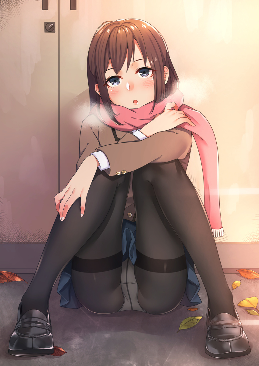 :o against_wall autumn_leaves black_footwear blue_eyes blue_skirt blush brown_hair buttons cardigan crotch_seam full_body ginkgo_leaf head_tilt highres kyuuso_inukami legs loafers long_sleeves looking_at_viewer nail_polish open_mouth original panties panties_under_pantyhose pantyhose pantyshot pantyshot_(sitting) pink_scarf pleated_skirt scarf shoes short_hair sitting skirt solo thighband_pantyhose underwear white_nails white_panties