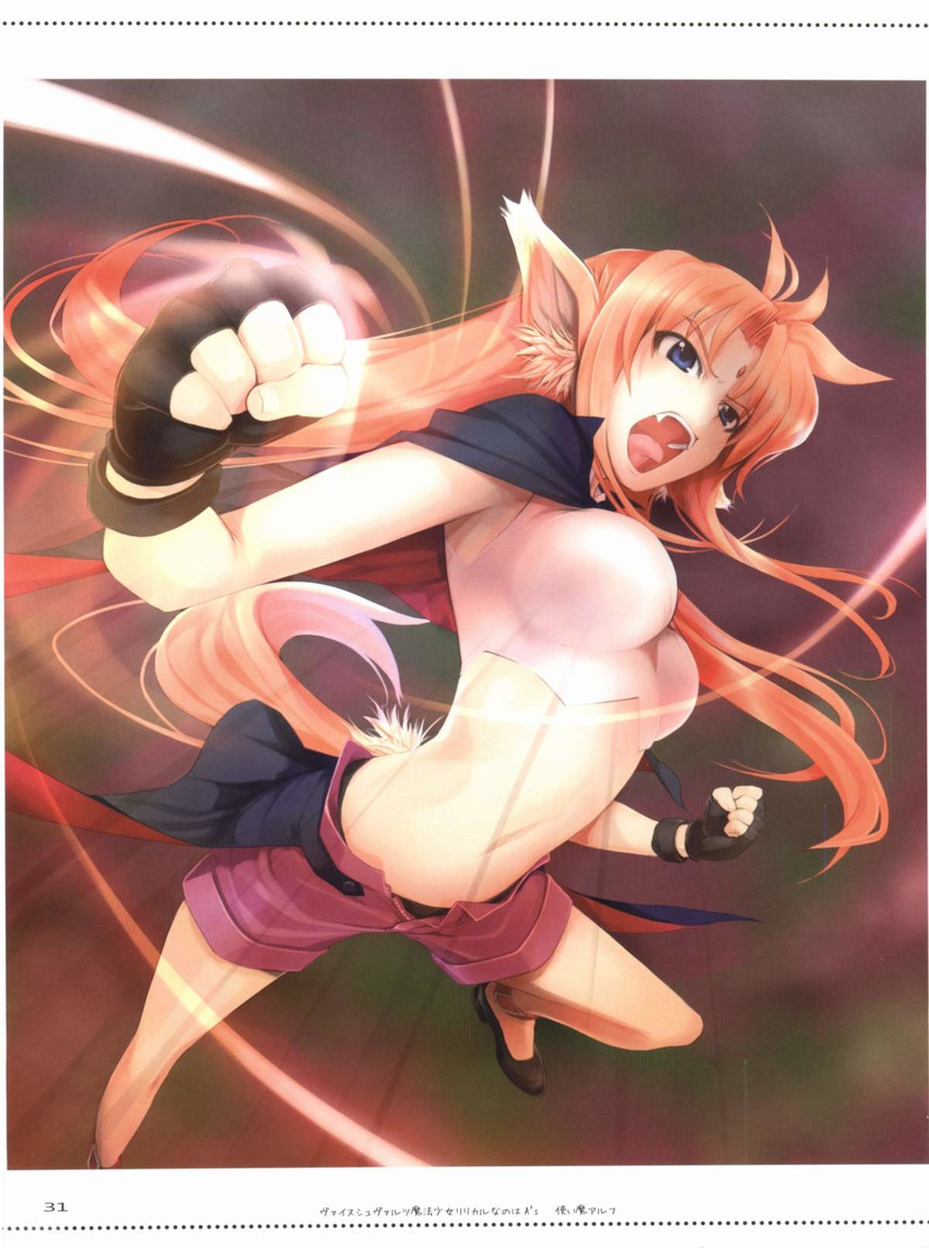 animal_ears arf black_panties blue_eyes dog_ears dog_tail highres lyrical_nanoha mahou_shoujo_lyrical_nanoha mikazuki_akira! navel open_mouth orange_hair panties short_hair solo tail underwear