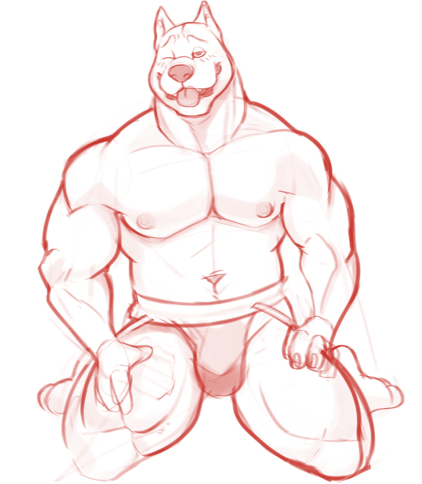 blush bulge canine clothing dog horrorbuns jockstrap looking_at_viewer male mammal muscular pecs simple_background solo underwear white_background