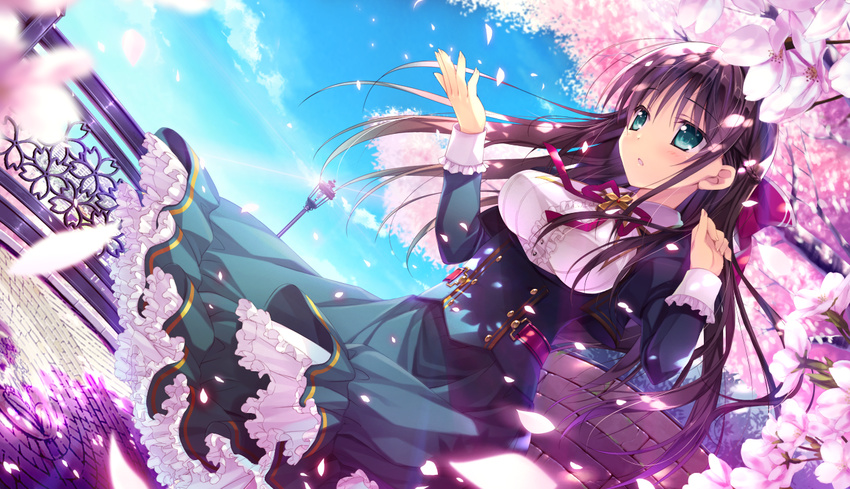 :o bow brown_hair cherry cherry_blossoms day dutch_angle food frilled_skirt frills fruit game_cg green_eyes hair_bow half_updo kuragano_sara lens_flare long_hair petals primal_hearts purple_hair ribbon sasorigatame school_uniform skirt sky solo wind