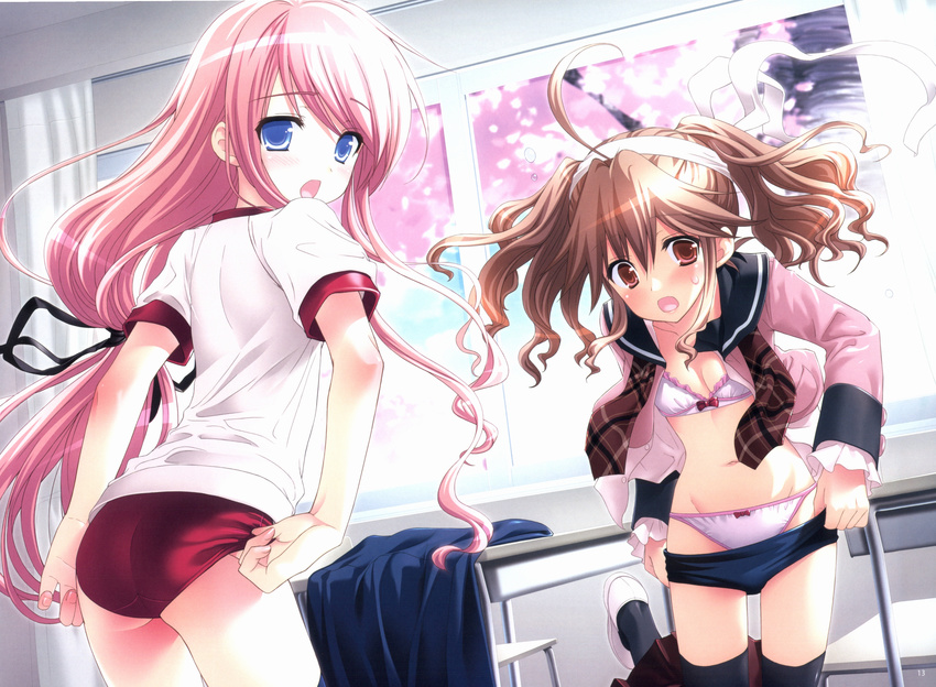 absurdres adjusting_buruma adjusting_clothes ahoge ass black_legwear black_ribbon blue_eyes bow bow_bra bow_panties bra breasts brown_eyes brown_hair buruma buruma_pull cleavage desk gym_uniform highres indoors kasukabe_akira long_hair looking_at_viewer multiple_girls navel open_clothes open_mouth open_shirt panties pink_bra pink_hair pink_panties ribbon sakura_nanako sakura_sakura scan school_desk shirt small_breasts tachibana_kurumi thighhighs underwear undressing white_ribbon window