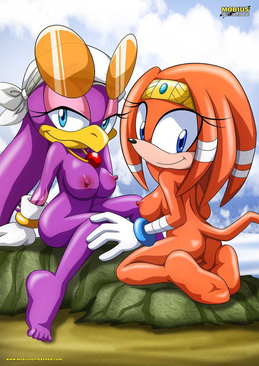 anthro avian bandanna bbmbbf beach beak blob_feet blue_eyes breasts butt clothing dreadlocks duo echidna eyelashes eyewear female female/female fur gloves half-closed_eyes inviting kneeling looking_at_viewer looking_back mammal mobian_(species) mobius_unleashed monotreme necklace nipples nude orange_fur palcomix purple_fur pussy seaside sitting smile sonic_(series) sonic_adventure sonic_riders swallowing tikal_the_echidna wave_the_swallow
