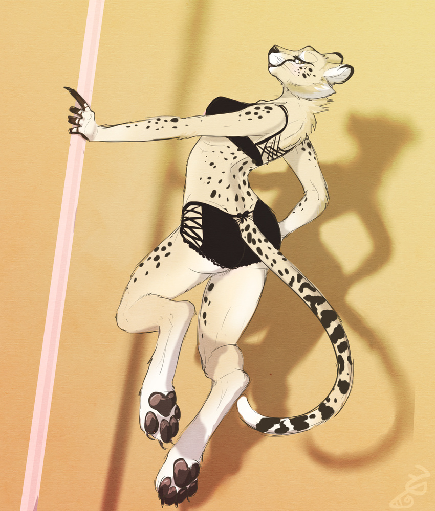 2015 4_toes anthro bra breasts brown_pawpads butt cheetah claws clothed clothing ctrl_alt_yiff dancing digital_media_(artwork) digitigrade feline female fur hi_res hindpaw inside lingerie looking_at_viewer looking_back mammal multicolored_fur neck_tuft panties pawpads paws pole pole_dancing shadow simple_background solo spots spotted_fur tail_clothing toe_claws toes tuft underwear whiskers yellow_eyes