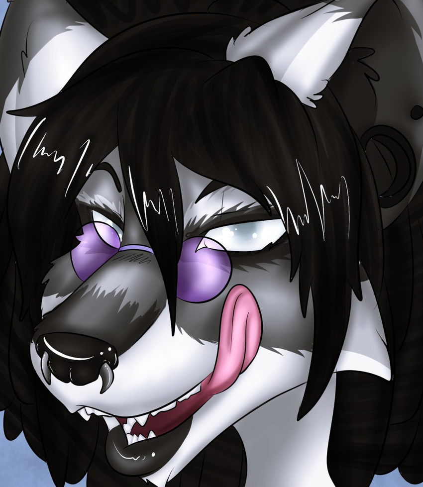 anthro black_hair canine ear_piercing eyewear facial_piercing fangs female fur glasses grey_fur hair half-closed_eyes kammymau looking_at_viewer mammal nose_piercing open_mouth piercing solo teeth tongue tongue_out wolf