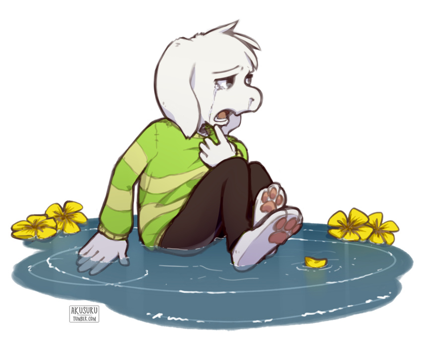 akusuru asriel_dreemurr caprine clothing crying flower goat male mammal open_mouth pants plant sad shirt solo tears undertale video_games water watermark