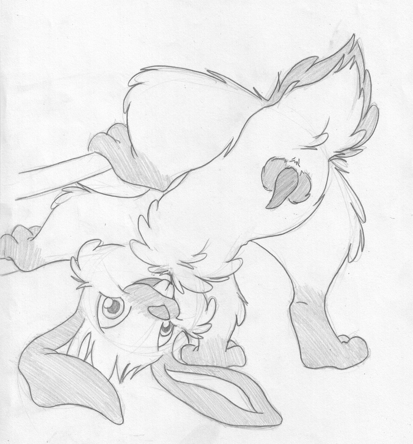 anatomically_correct anus balls buckteeth digitigrade erection greyscale lagomorph looking_through_legs male mammal mizzyam monochrome one_leg_up pencil_(artwork) penis rabbit rear_view semi-anthro smile solo spotted_bunny tapering_penis teeth traditional_media_(artwork) upside_down