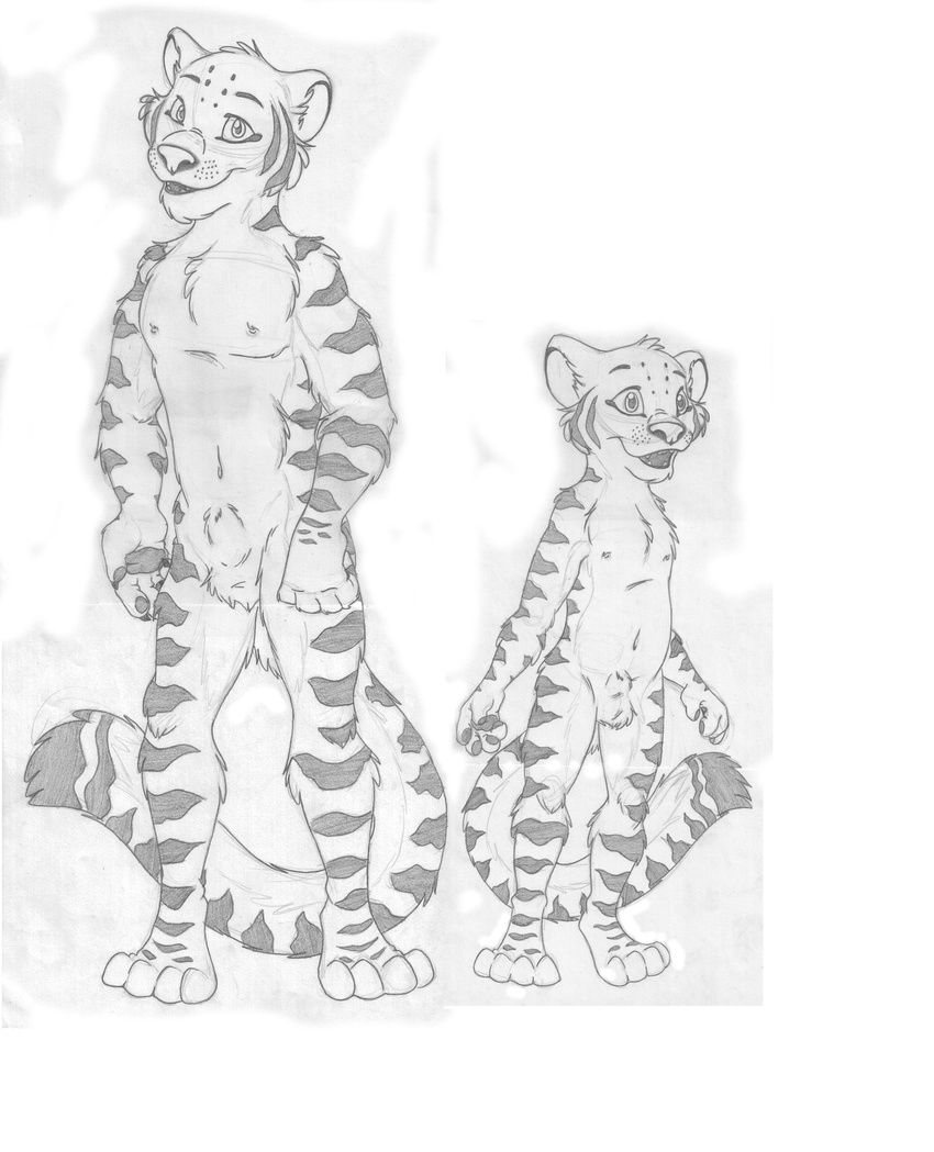 aged_down anthro balls barefoot cub duo feline front_view greyscale invalid_tag looking_at_viewer male mammal monochrome multiple_images nipples nude pawpads pencil_(artwork) sheath smile stripes tiger traditional_media_(artwork) young