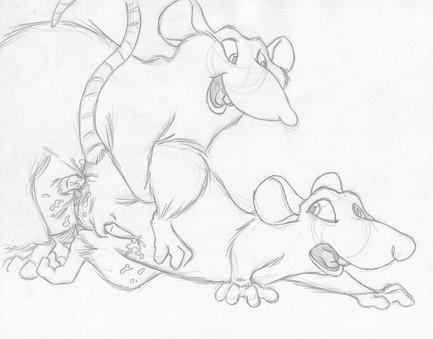 2007 all_fours anal anal_penetration balls brothers buckteeth chubby cum cum_from_ass cum_splatter duo emile_(disney) erection feral from_behind greyscale incest leg_grab male male/male mammal mizzyam monochrome mounting one_leg_up open_mouth pencil_(artwork) penetration penis rat ratatouille remy rodent sex sheath sibling small_penis tapering_penis teeth traditional_media_(artwork) whiskers