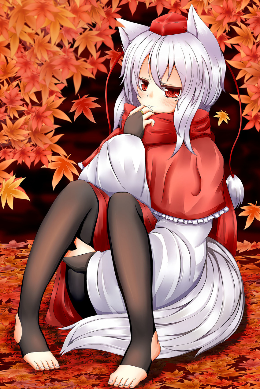 animal_ears autumn_leaves banned_artist blush detached_sleeves feet hat highres inubashiri_momiji leaf leggings looking_at_viewer oohirakeisuke red_eyes red_scarf scarf short_hair silver_hair smile solo stirrup_legwear tail toeless_legwear tokin_hat touhou wolf_ears wolf_tail