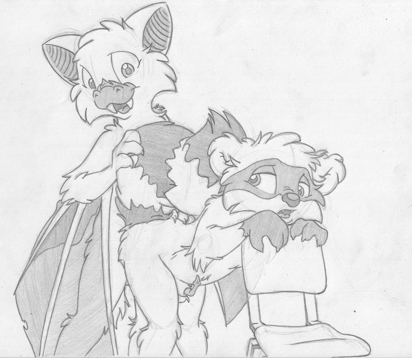 anal anatomically_correct anatomically_correct_penis anthro balls bat bent_over chair cub duo erection fangs from_behind front_view greyscale looking_back male male/male mammal mitch_(mizzyam) mizzyam monochrome nude open_mouth pencil_(artwork) penis raccoon sachel sex sheath standing traditional_media_(artwork) wings young