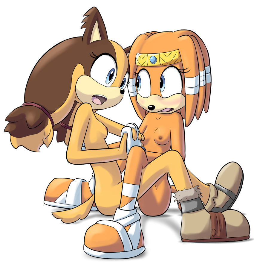 2015 anthro blue_eyes blush breasts brown_fur brown_hair clothing duo echidna female female/female footwear fur goshaag hair hand_holding hi_res jungle_badger mammal monotreme nipples nude open_mouth sex shoes simple_background sonic_(series) sonic_boom sticks_the_jungle_badger tikal_the_echidna tribadism white_background