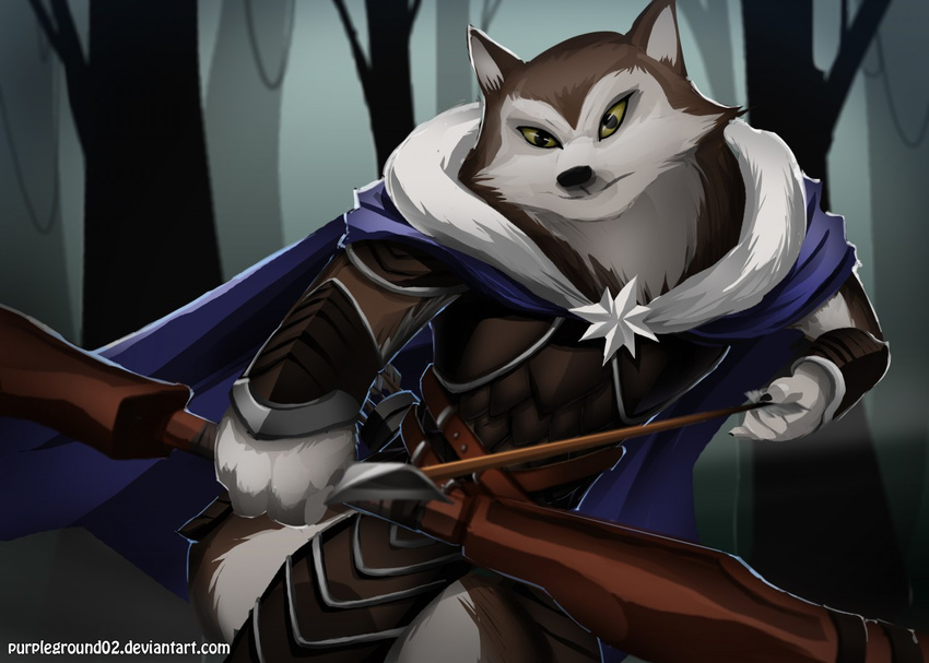 anthro archer armello armor arrow bow_(weapon) canine cloak clothing female forest looking_at_viewer mammal purpleground03 ranged_weapon river_(armello) solo tree weapon wolf yellow_eyes