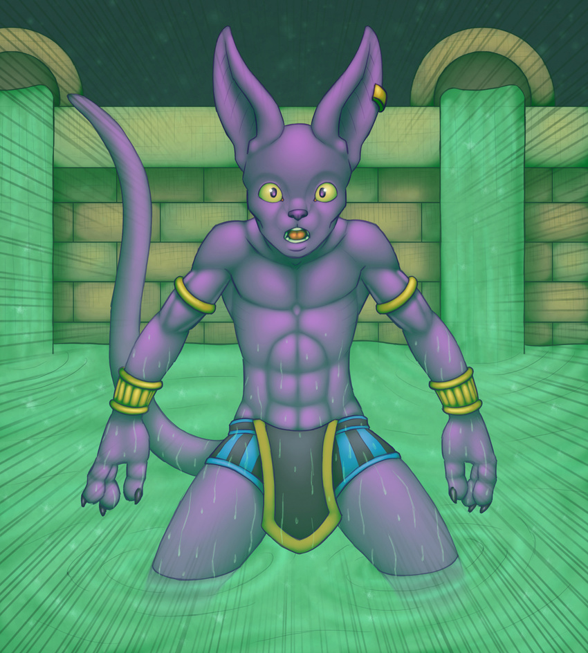 anthro beerus cat chokodonkey clothed clothing dragon_ball feline half-dressed hi_res male mammal solo standing topless wet