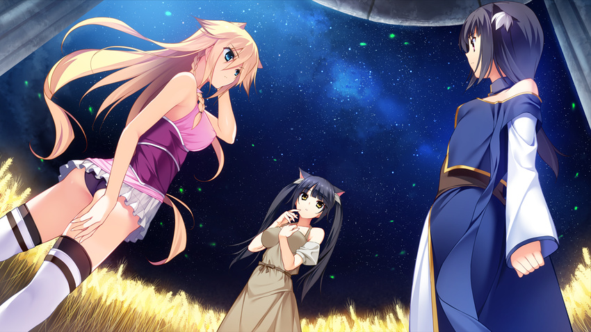 aioh_lioh_camylia animal_ears ass black_hair black_panties blonde_hair blue_eyes brown_eyes cat_ears fal_lev_guregoria from_below fumio_(ura_fmo) game_cg hatsuru_koto_naki_mirai_yori kyurio_vita_waruroi long_hair multiple_girls night panties skirt sky star_(sky) starry_sky thighhighs underwear very_long_hair wheat white_skirt yellow_eyes