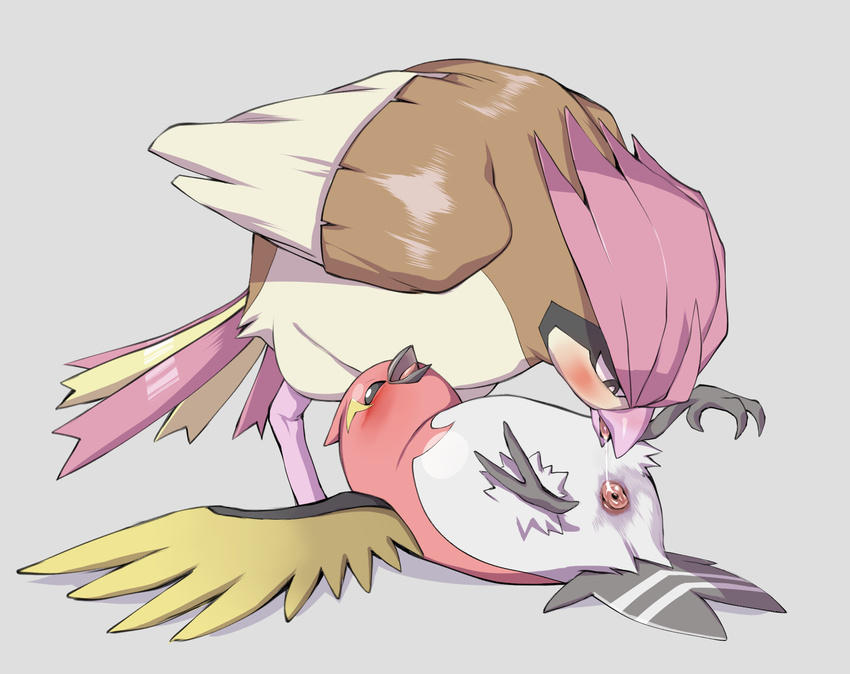 ambiguous_gender animal_genitalia avian beady_eyes blush claws cloaca digitigrade duo feathers feral feral_on_feral fletchinder ganguro_(artist) grey_background hi_res lying nintendo on_back pidgeotto pok&eacute;mon pussy_juice saliva simple_background size_difference video_games wings