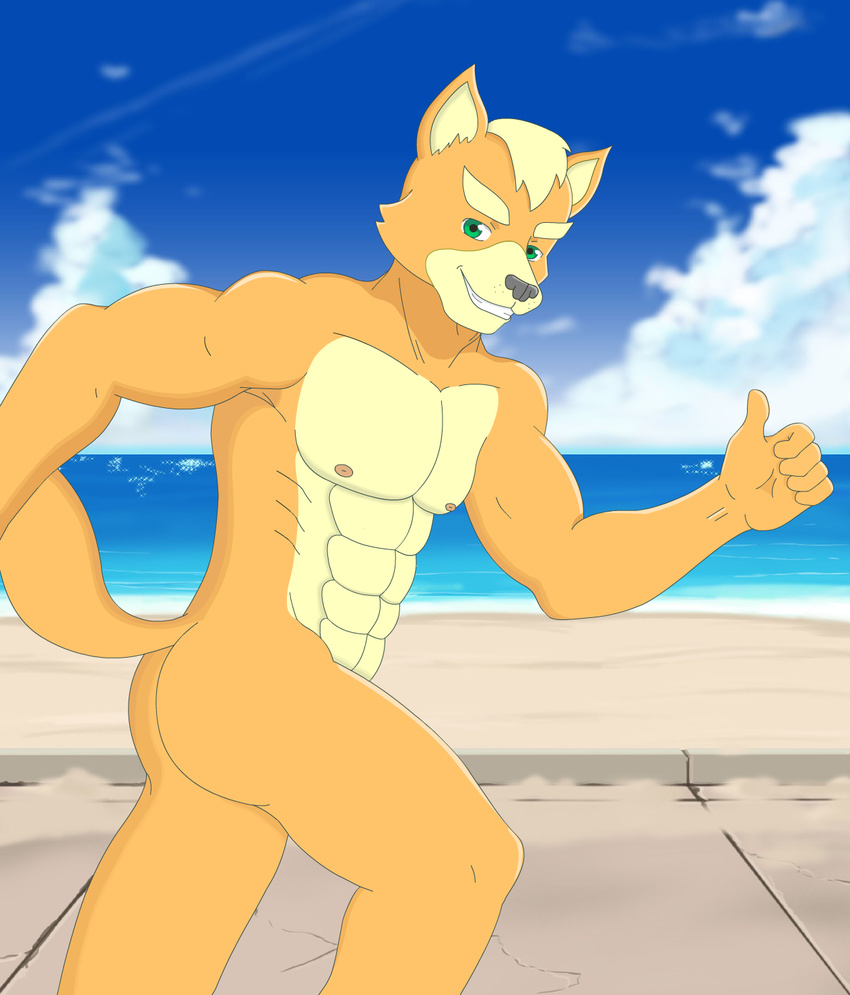 abs anthro beach canine exhibitionism fox fox_mccloud mammal meteorsmash muscular nintendo nipples nude pecs public seaside solo star_fox teasing thumbs_up video_games