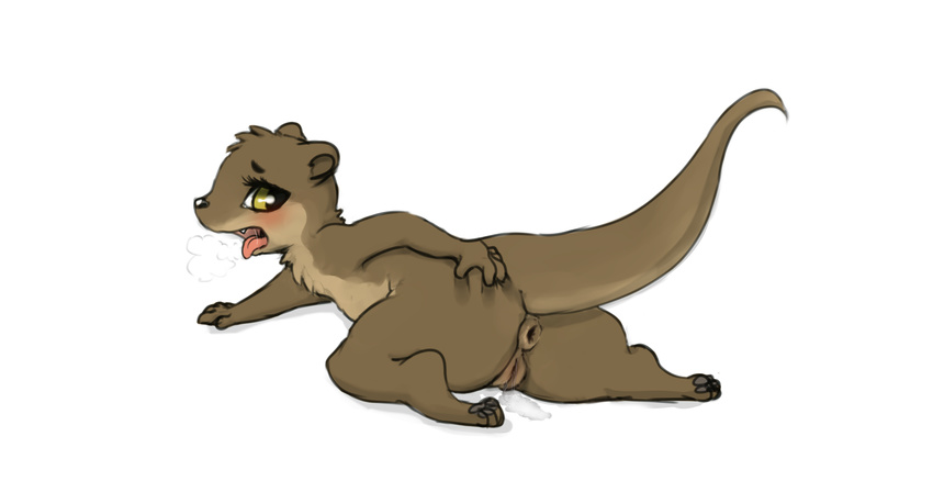 anus blush female heat mammal mustelid otter panting pulling pussy saliva spreading tongue tongue_out yang738