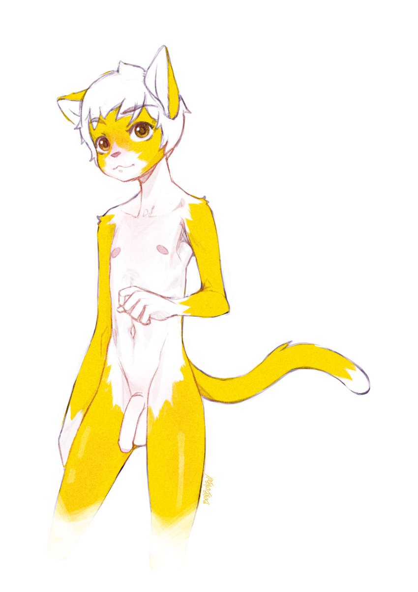 5_fingers anthro balls bonbonboy brown_eyes cat cub feline flaccid fur hair male mammal navel nipples penis simple_backfround solo standing uncut white_fur white_hair yellow_fur young