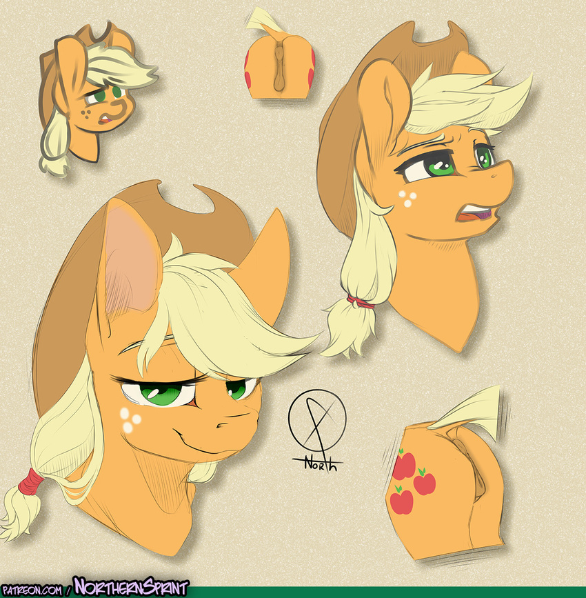 2015 anatomically_correct anatomically_correct_pussy animal_genitalia anus applejack_(mlp) blonde_hair butt cutie_mark dock earth_pony equine equine_pussy eyelashes female feral freckles friendship_is_magic green_eyes hair half-closed_eyes hat horse looking_at_viewer mammal my_little_pony northernsprint open_mouth pony pussy smile solo