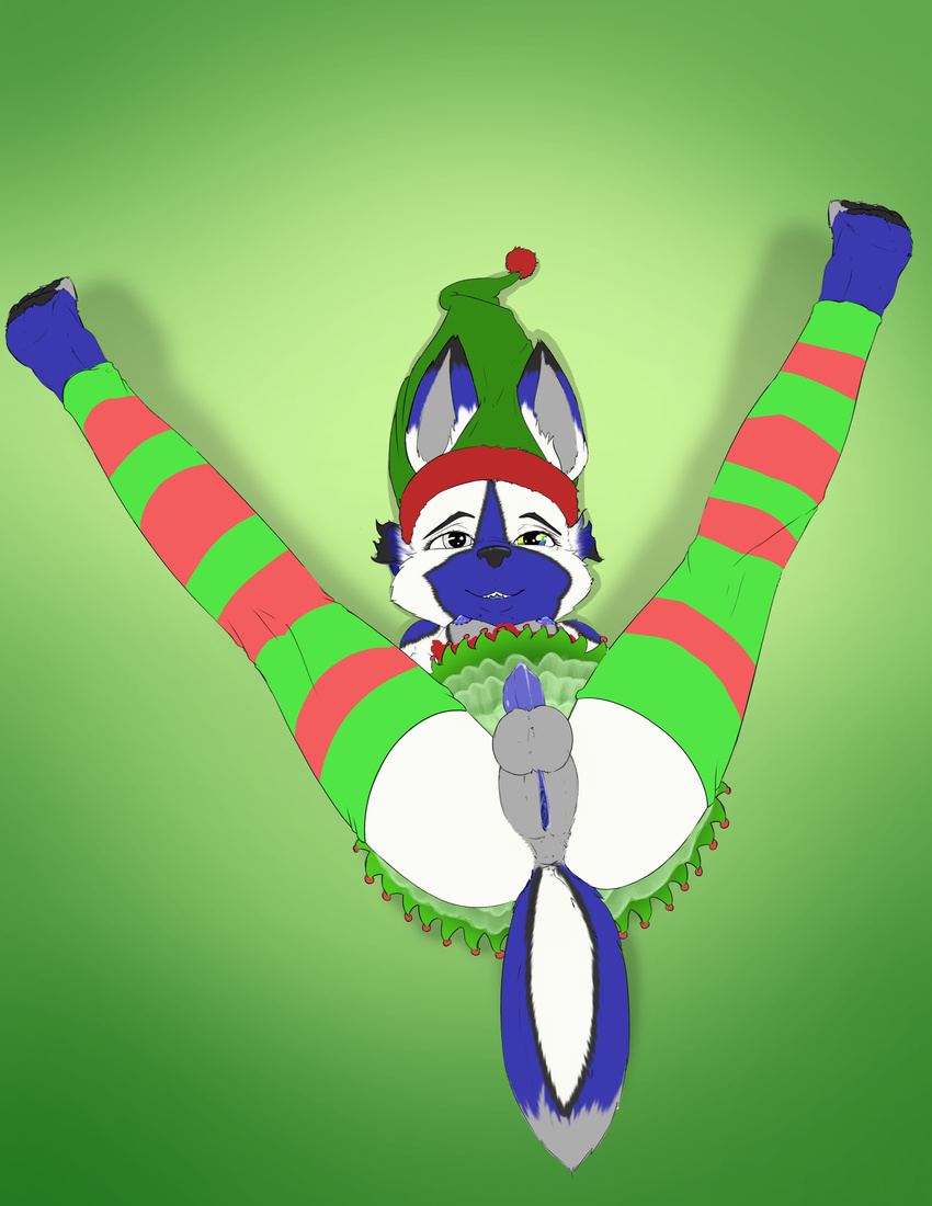 absurd_res animal_genitalia anthro balls black_fur blue_fur canine canine_penis christmas clothing cub diegoandfriends digital_media_(artwork) first_person_view fur green_background handstand herm heterochromia hi_res holidays intersex leggings legwear mammal multicolored_fur penis poulet-7 pussy simple_background smile spread_legs spreading white_fur young