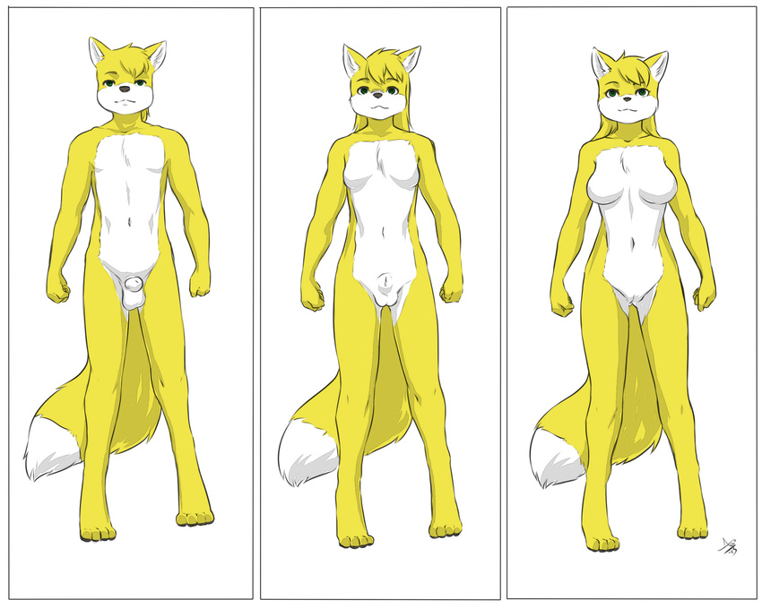 2015 animal_genitalia anthro aogami big_breasts breasts canine canine_penis crossgender digitigrade female fox ftm gender_transformation hi_res male mammal miles_yellow mileymouse mtf nude penis pussy sheath small_breasts transformation