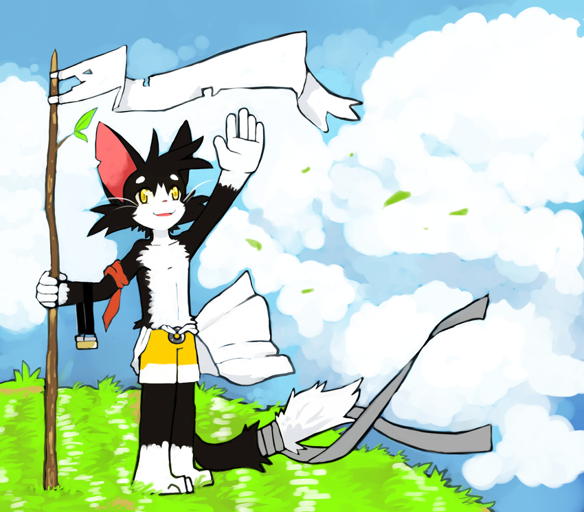 anthro barefoot cat clothed clothing cloudscape eyewear feline flag goggles half-dressed hi_res kay_(whiteleo) looking_at_viewer mammal shorts sky solo standing topless waving whiskers whiteleo wind