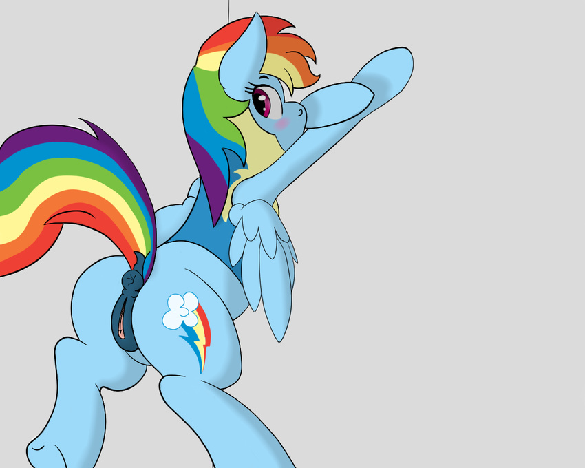 2015 animal_genitalia anus blush butt cutie_mark dock equine equine_pussy feathered_wings feathers female feral friendship_is_magic grey_background hair looking_back mammal multicolored_hair multicolored_tail my_little_pony pegasus pussy rainbow_dash_(mlp) rainbow_hair rainbow_tail raised_tail robhinsha simple_background solo wings