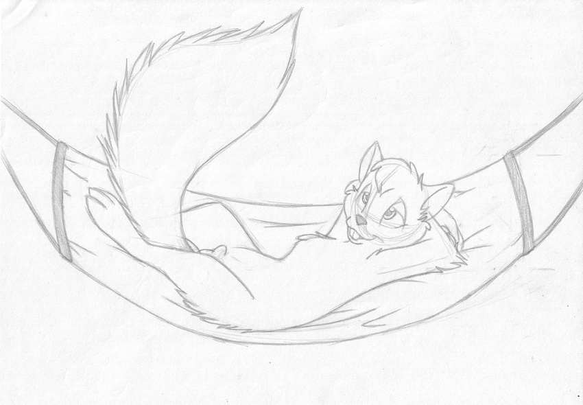 absurd_res anthro balls buckteeth digitigrade flaccid fluffy_tail greyscale half-closed_eyes hammock hands_behind_head hi_res lying male mammal mizzyam monochrome nude on_back pencil_(artwork) penis rodent side_view smile solo squirrel teeth traditional_media_(artwork)