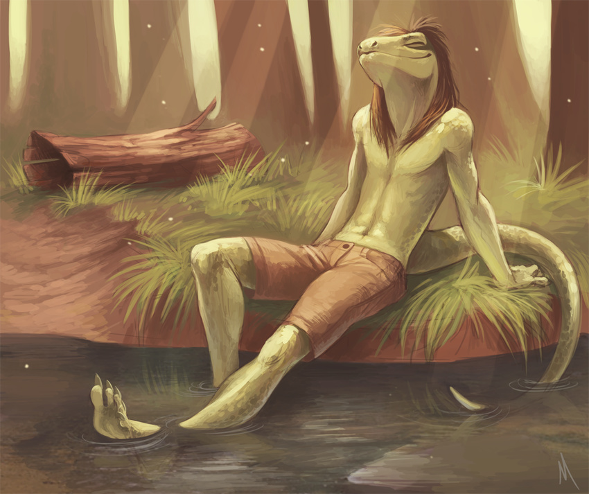 anthro brown_hair clothed clothing drake_searas eyes_closed forest grass green_scales hair half-dressed happy lizardman long_hair long_tail male neeedle outside partially_clothed relaxing reptile scales scalie sitting smile solo sunbathing topless tree treetrunk wood