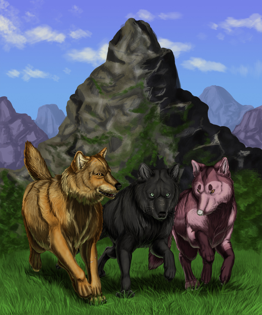 black_fur canine charley-the-dragon claws dai female feral fur grass green_eyes grin group inner_ear_fluff liam looking_at_viewer louis male mammal mountain multicolored_fur orange_eyes orange_fur outside purple_fur running scar white_nose wolf