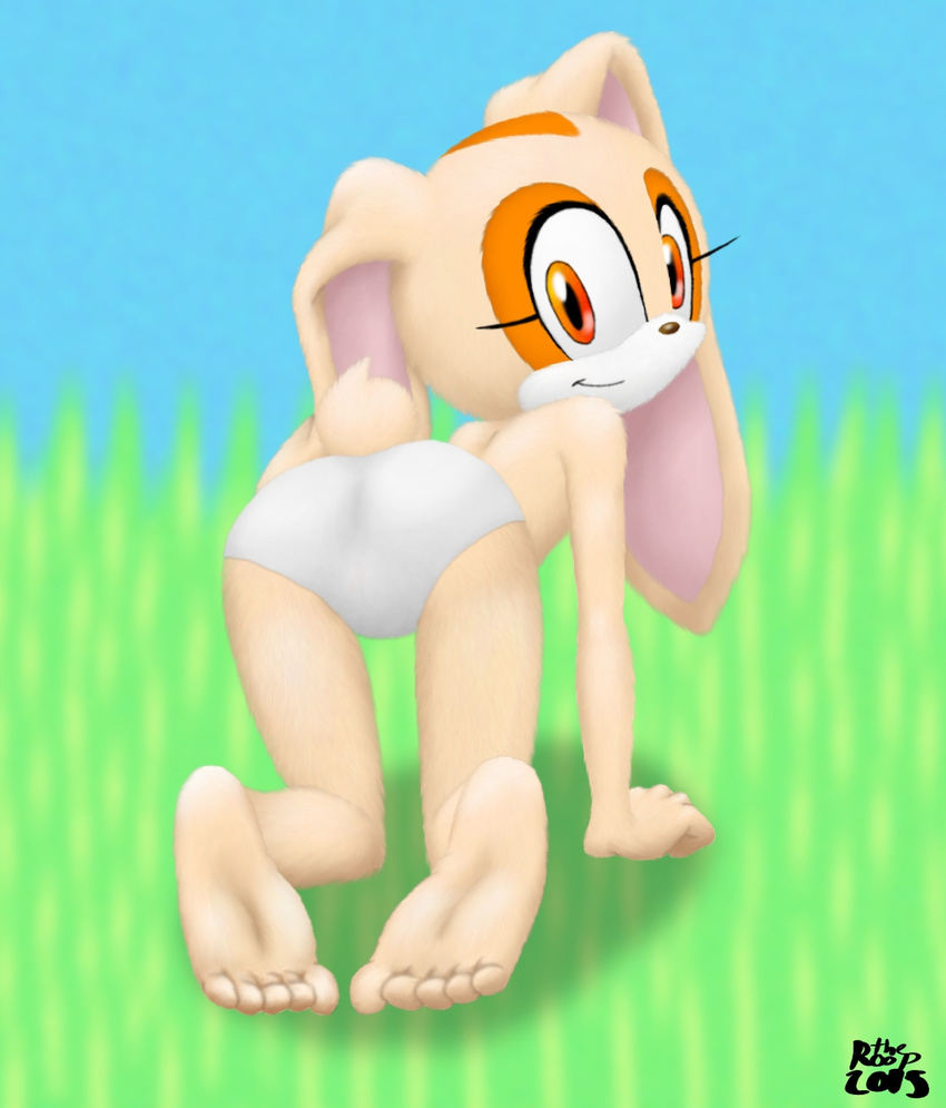 anthro clothing cream_the_rabbit female lagomorph mammal rabbit sonic_(series) the_roop underwear