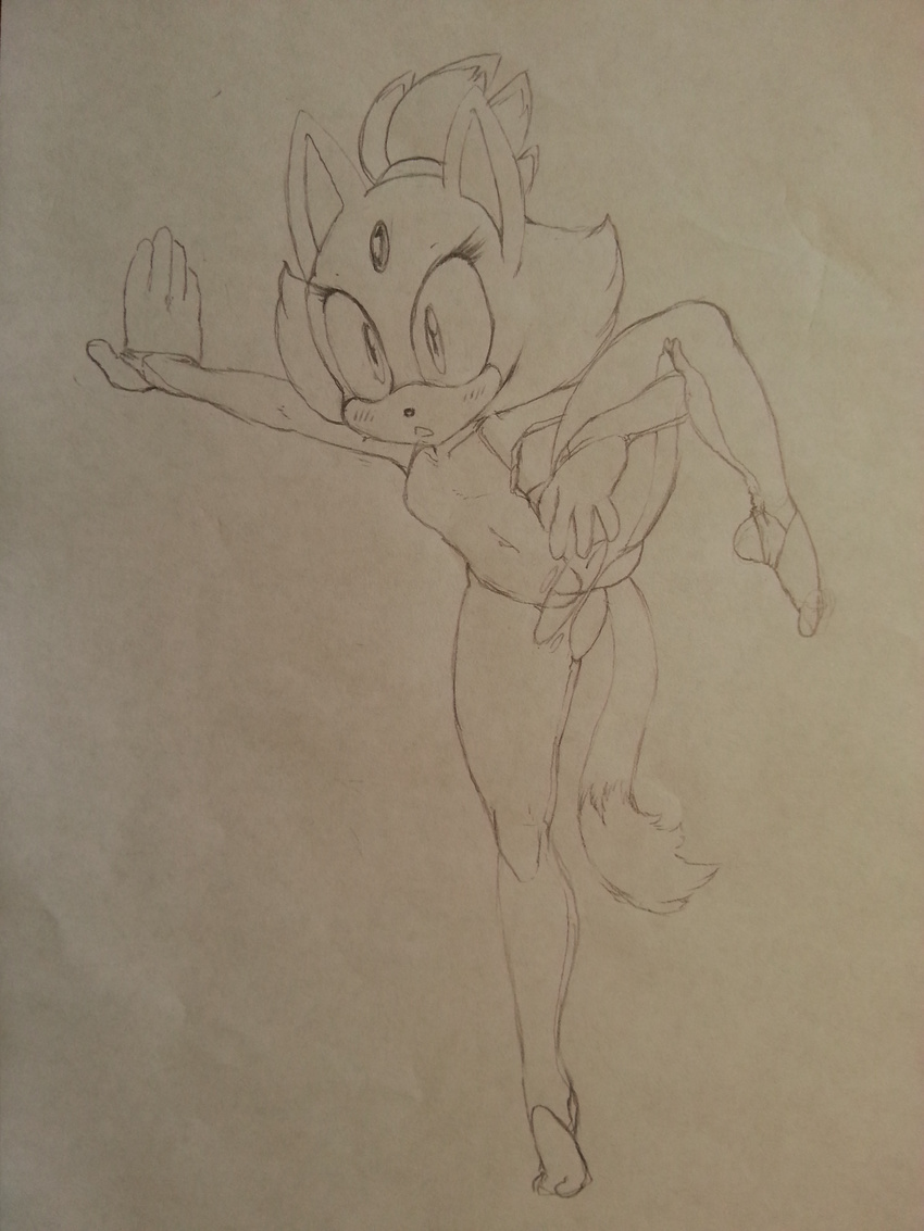 anthro argento blaze_the_cat cat clothing feline female hi_res mammal pussy simple_background sketch solo sonic_(series) torn_clothing traditional_media_(artwork)