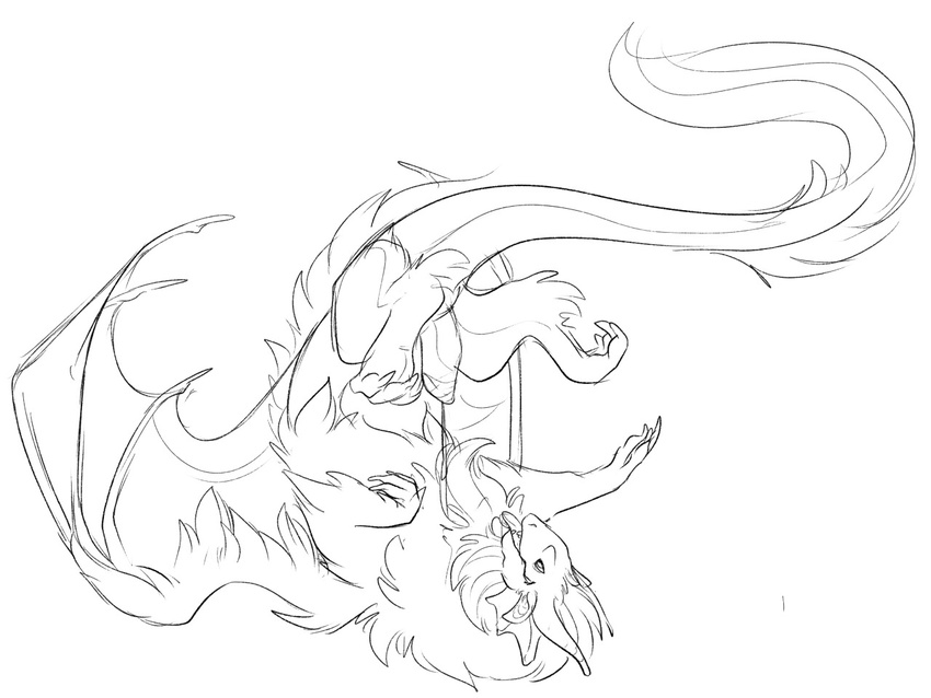 balls dragon feral flight_rising fur furred_dragon gahraazel horn lying male on_back open_mouth penis precum simple_background sketch solo tongue tongue_out tundra_dragon white_background wings